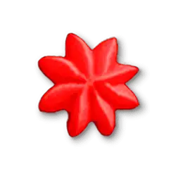 Blüte 0 Blüte 0