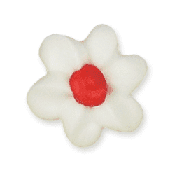 Blüte Blüte