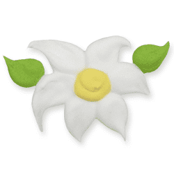 Edelweiß Edelweiß